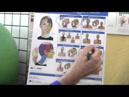 kent flip chart 6 charts in 1 trigger point posture and