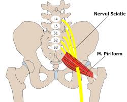 Simptomele herniei de disc diagnosticul herniei de disc tratamentul herniei de disc. Articole Medicale
