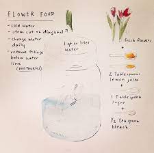 Flower Food Getwise2013 Flower Food Diy Flower Food Planting Flowers