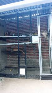 Scopri ricette, idee per la casa, consigli di stile e altre idee da provare. Keuntungan Dan Kelemahan Ternak Lovebird Secara Koloni Peternakan Dan Perkebunan