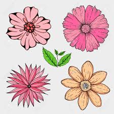 Search for flowers with us. Imagenes De Flores A Color Para Dibujar
