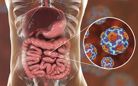 Hepatitis a is a highly contagious liver infection caused by a virus. Die Hepatitis A Impfung Beim Kind Netpapa