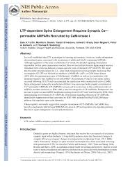 The state's largest city, it lies just south of vancouver, washington, on the willamette river near its confluence with the columbia river, about 100 miles (160 km) by river from the pacific ocean. Pdf Long Term Potentiation Dependent Spine Enlargement Requires Synaptic Ca2 Permeable Ampa Receptors Recruited By Cam Kinase I