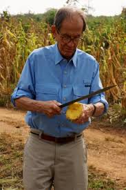 Pineapples Are Not for Sissies « Where the Sacred Dwells, Namaste