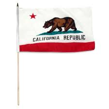 California's state flag represents the bear republic. California 12in X 18in Polyester Flag