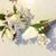 Hours may change under current circumstances Flowers By Laura Logan Ut Alignable
