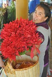 Woman With Flowers Mexico Mexican Culture Mexican Women Oaxaca Mexico