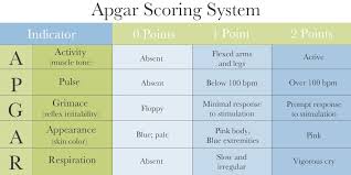 31 problem solving apgar score