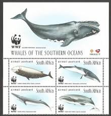 1998 Whales Of The Southern Oceans Wwf Mnh Bidorbuy Co Za In 2020 Southern Ocean Whale Wwf
