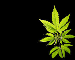 We hope you enjoy our growing collection of hd. 420 Wallpaper Group 41
