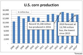 U S D A Sees 2019 Corn Soybean Production Down From August