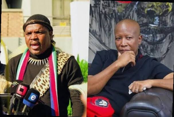 Ngizwe Mchunu Refuses Apology to Julius Malema Court Order