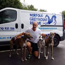 Greyhounds as pets (gap) is a registered charity rehoming greyhounds that are no longer suitable for racing. Norfolk Greyhound Rescue Rescuing Al Hounds