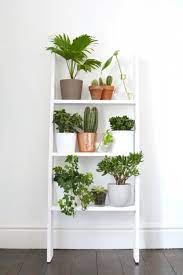 Plant Shelf Ideas Decordove Regarding Shelf For Plants Retro Home Decor Minimalist Shelves Plant Decor