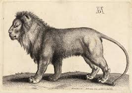 A lbrecht dürer was born in the city of nuremberg, a. Albrecht Durer Lion Poster Albrecht Durer Lion Painting