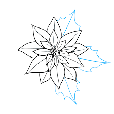 Start by drawing 5 small circles in the center (offset to the left) of the canvas. How To Draw A Poinsettia Really Easy Drawing Tutorial