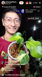 Does anyone know what's wrong with my albo? These just popped up recently. 