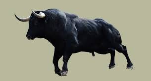 Um sie zu bestimmen, wurde das jahr in zwölf phasen unterteilt. Sternzeichen Stier Der Beharrliche Kampfer