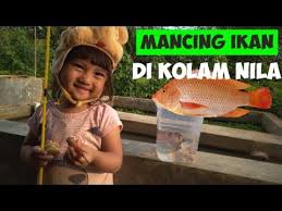 Memancing Ikan Sambil Belajar Berhitung Dan Warna Fishing For Kids Youtube Memancing Ikan Belajar