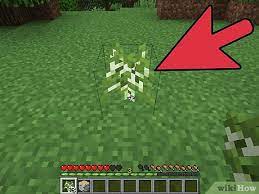 Spraying water from a hose on top of the tree root ball or wood chips covering the root ball is very inefficient and wasteful of water. How To Plant Trees In Minecraft 9 Steps With Pictures Wikihow