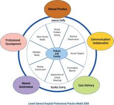 This Wheel Depicts The Many Roles Of A Nurse Today This Image Is One Example Effective Classroom Management Personal Learning Environment Effective Learning
