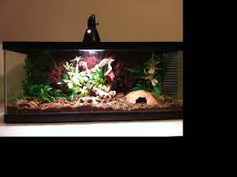 Pin By Heather Fowler On Tank Setups Ball Python Python Tank Frog Tank