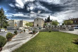 Image result for Montinia