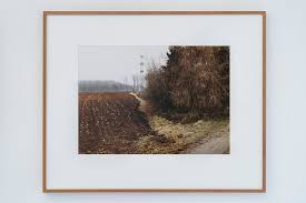 Bildergebnis für Simone Nieweg