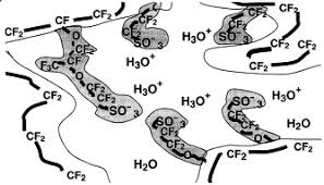 Nafion obstacle to development of new technologies often turns out hard availability of materials with rare qualities that can be available for mass production. Nano Structure Of Nafion A Saxs Study Sciencedirect