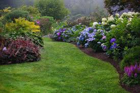 Beautiful Light Shade Combo Hydrangeas Astilbes Coral Bells Hostas Ferns Hydrangea Garden Beautiful Gardens Garden Shrubs