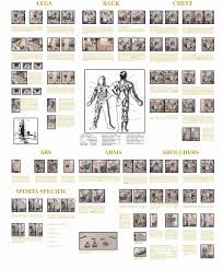 bowflex workout chart free download unique free workout