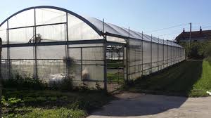 Dimensioni specifiche per pallet usati. Impianto A Biomassa Per Serre Sono Davvero Convenienti