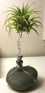 We did not find results for: 12 Best Amazing Air Plant Display Ideas To Add Uniqueness To Your Home Air Plants Decor Plant Display Ideas Air Plants Diy