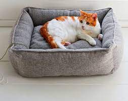Retrouvez dans notre boutique pour chat en ligne de nombreux modèles. Panier Cocoon Pour Chat Et Chien Becquet