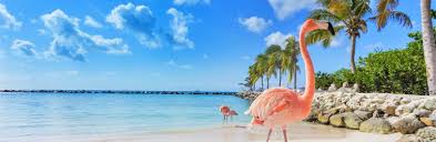 Oranjestad is de hoofdstad van aruba. Top 3 Kreuzfahrt Ausfluge In Oranjestad Aruba Ab 48 Meine Landausfluge