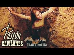 To franco's dismay, armando gets a lucky break. Pasion De Gavilanes Pdg Juan Y Norma 388 Juan Y Ruth Salen De La Fosa Youtube