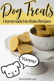 Using dog food coupons and coupon sites is a great way to give your canine companion high no dog should go hungry, and no family should have to give up a pet to a shelter because they can't afford dog food. Easy No Bake Dog Treats For Your Fur Baby Best Of Life