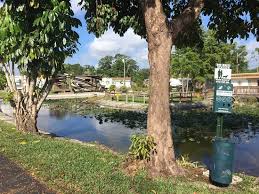 Welcome to the davie / ft. Davie Fort Lauderdale Koa Updated 2021 Prices Campground Reviews Fl Tripadvisor