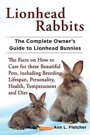 Lionhead Rabbits The Complete Owner S Guide To Lionhead Bunnies The Facts On How To Care For These Beautiful Pets Including Breeding Lifespan Personality He In 2021 Lionhead Rabbit Lionhead Bunny Rabbit