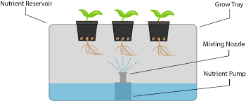Jun 10, 2021 · the company has introduced a new irrigation boom model, i.e. How Does An Aeroponics System Work Locus Growers
