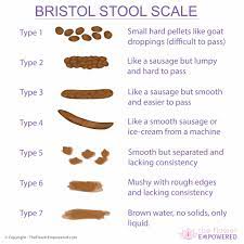The chart was developed by dr. Bristol Stool Scale 3 Or 4 Is Perfect The Flower Empowered