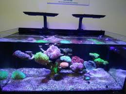 Awesome Aquarium Led Light Led Aquarium Lighting Aquarium Led Aquarium Lighting
