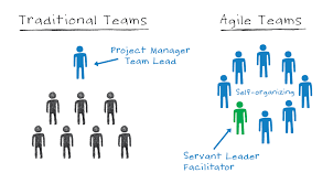 Agile Teams Self Organize For Project Success Self Organization Project Success Organizational Leadership