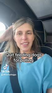 If your dog is pulling frequently, you are in too difficult of an  environment. Practice somewhere less distracting.