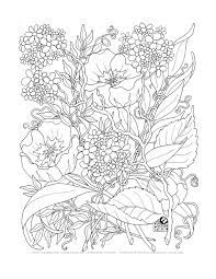 Look for the printer icon on the right side(top) of the page. Cool Flower Coloring Pages For Adults Coloring Home