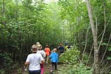 Nature Day Camp