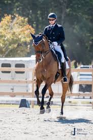 Agricultural & equestrian leaders in farm fencing for over 35 years. Where Riding Technology Meets Tradition Dressage Today