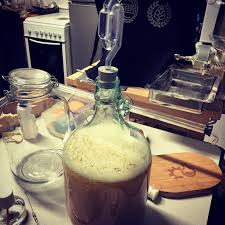 Fermentation Du Mout Di 1 040 Avec Des Grains De Kefir De Fruit Fermentation Kitchen Appliances Kitchen