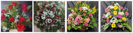 Check spelling or type a new query. The 10 Best Options For Flower Delivery In El Paso Texas 2021