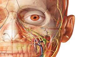 En la primera encontraremos juegos con sus objetivos ya sean fisicos o espirituales. Recursos Digitales Educativos